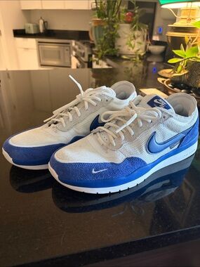 Nike SB Men’s White and Blue Low-Top Sneakers